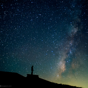 好了avalon第四航最新版本更新内容
