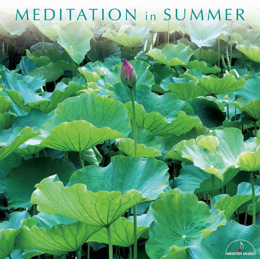 好了avalon第四航最新版本更新内容
